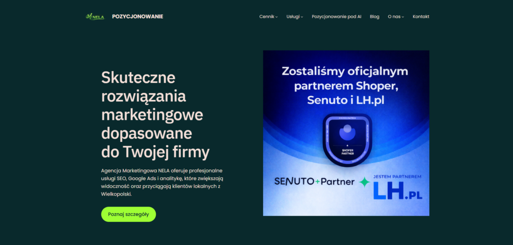 Strona główna nelaseo.pl z ofertą pozycjonowania stron i marketingu internetowego